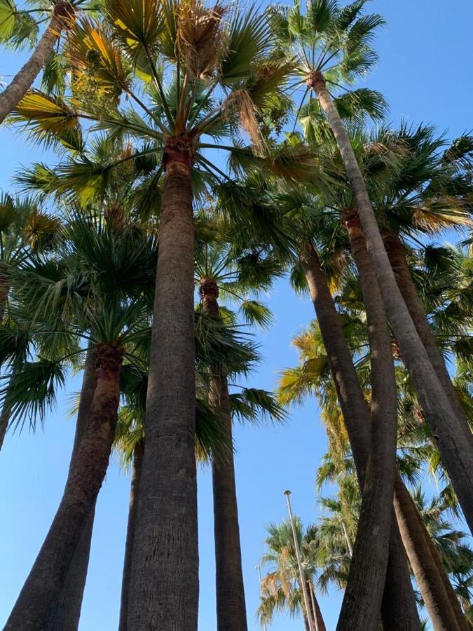 Appartement Vieux Port , True Seafront& View, 5g Fibre&bbc Cannes